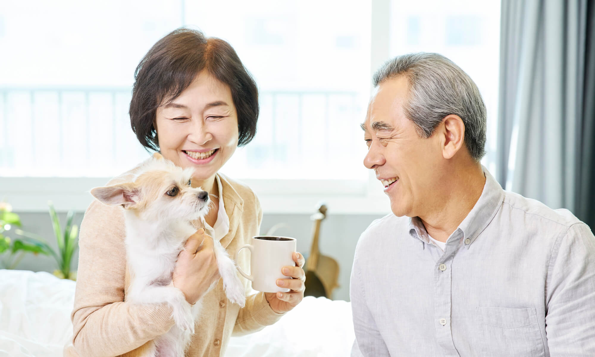 ペット信託で東京のおすすめの場所は?東京のペット信託相談所を紹介のサムネイル画像